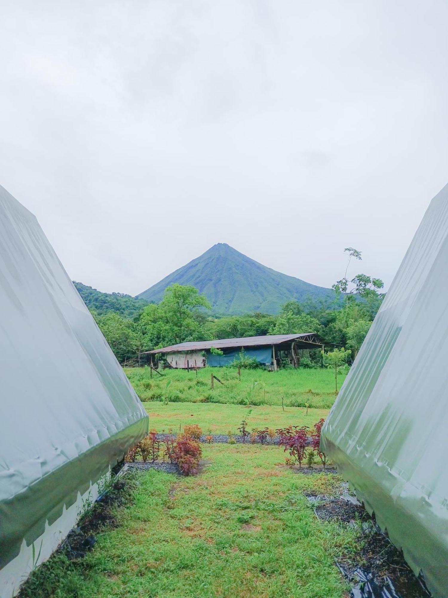 Flora Glamping De Abuela Villa La Fortuna Exterior photo