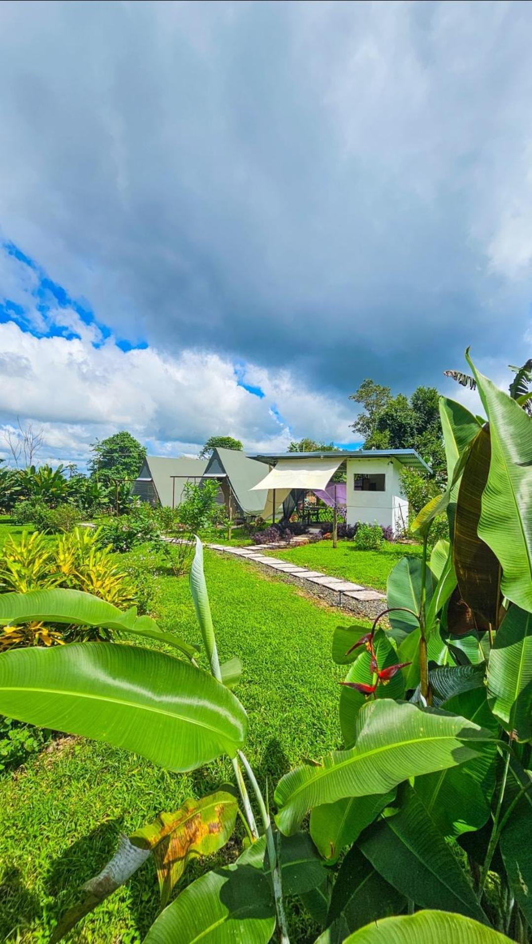 Flora Glamping De Abuela Villa La Fortuna Exterior photo